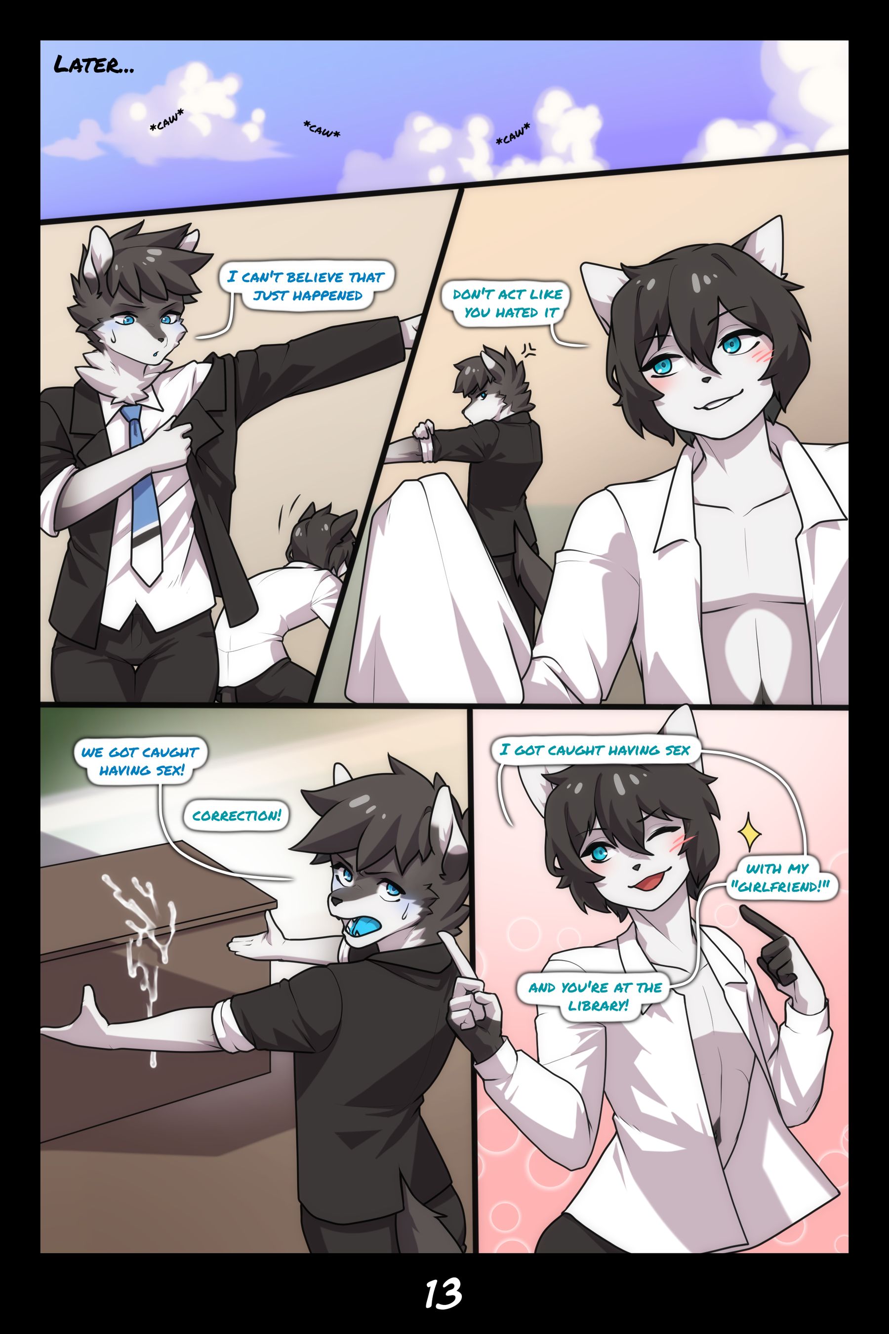 Page 14